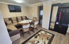 Casa cu 2 camere, 65 mp, teren 2910 mp, in Viile Satu Mare