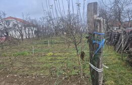 Casa cu 2 camere, 65 mp, teren 2910 mp, in Viile Satu Mare