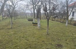 Casa cu 2 camere, 65 mp, teren 2910 mp, in Viile Satu Mare