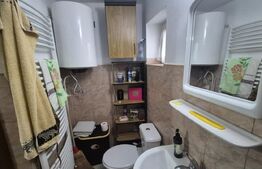Casa cu 2 camere, 65 mp, teren 2910 mp, in Viile Satu Mare