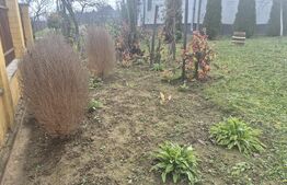 Casa cu 2 camere, 65 mp, teren 2910 mp, in Viile Satu Mare