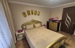 Casa cu 2 camere, 65 mp, teren 2910 mp, in Viile Satu Mare