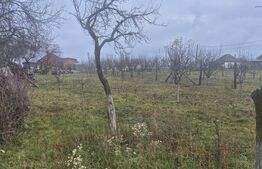 Casa cu 2 camere, 65 mp, teren 2910 mp, in Viile Satu Mare