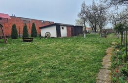 Casa cu 2 camere, 65 mp, teren 2910 mp, in Viile Satu Mare