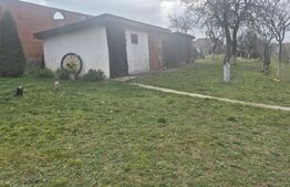 Casa cu 2 camere, 65 mp, teren 2910 mp, in Viile Satu Mare