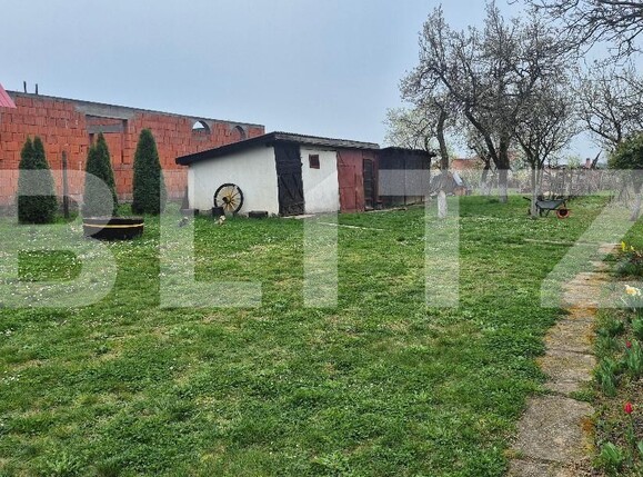 Casa de vânzare 2 camere Viile Satu Mare - 183806CV | BLITZ Satu Mare | Poza8