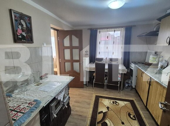 Casa de vânzare 2 camere Viile Satu Mare - 183806CV | BLITZ Satu Mare | Poza10