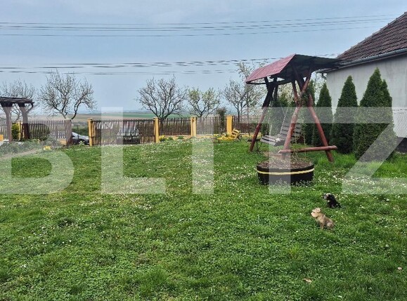 Casa de vânzare 2 camere Viile Satu Mare - 183806CV | BLITZ Satu Mare | Poza7