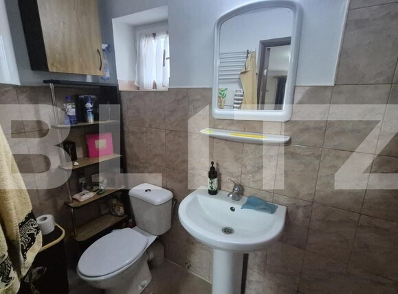 Casa de vânzare 2 camere Viile Satu Mare - 183806CV | BLITZ Satu Mare | Poza18