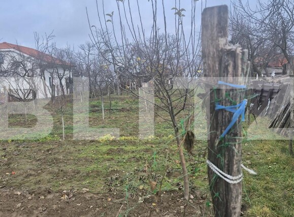 Casa de vânzare 2 camere Viile Satu Mare - 183806CV | BLITZ Satu Mare | Poza24