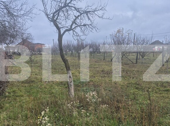 Casa de vânzare 2 camere Viile Satu Mare - 183806CV | BLITZ Satu Mare | Poza25