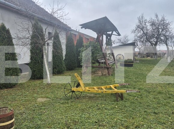 Casa de vânzare 2 camere Viile Satu Mare - 183806CV | BLITZ Satu Mare | Poza21