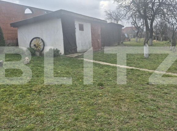 Casa de vânzare 2 camere Viile Satu Mare - 183806CV | BLITZ Satu Mare | Poza25