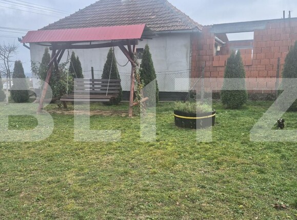 Casa de vânzare 2 camere Viile Satu Mare - 183806CV | BLITZ Satu Mare | Poza20