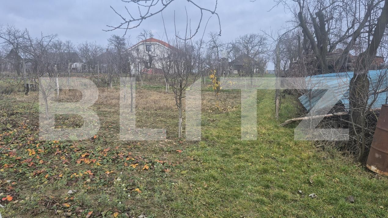 Casa de vânzare 2 camere Viile Satu Mare - 183806CV | BLITZ Satu Mare | Poza23
