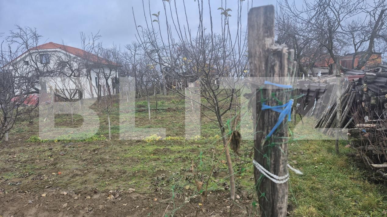 Casa de vânzare 2 camere Viile Satu Mare - 183806CV | BLITZ Satu Mare | Poza24