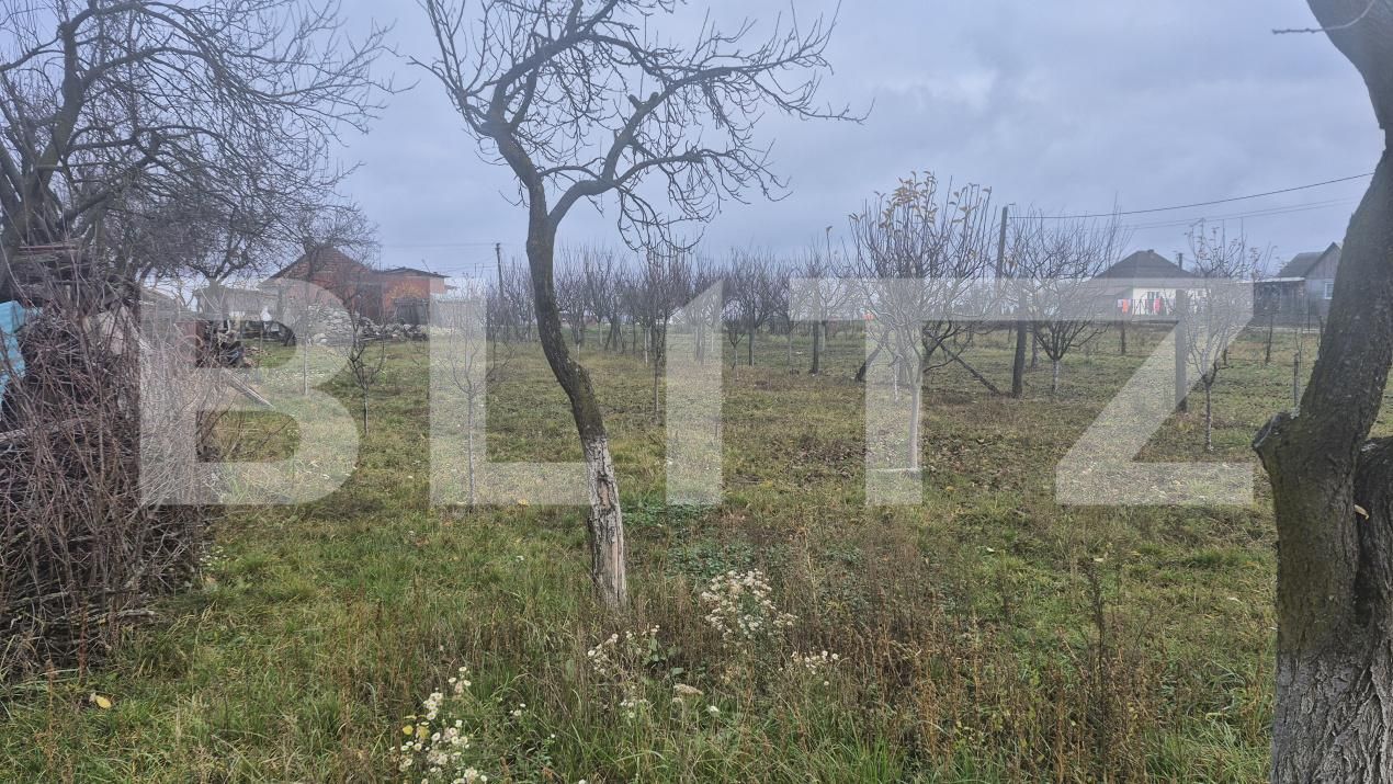 Casa de vânzare 2 camere Viile Satu Mare - 183806CV | BLITZ Satu Mare | Poza25