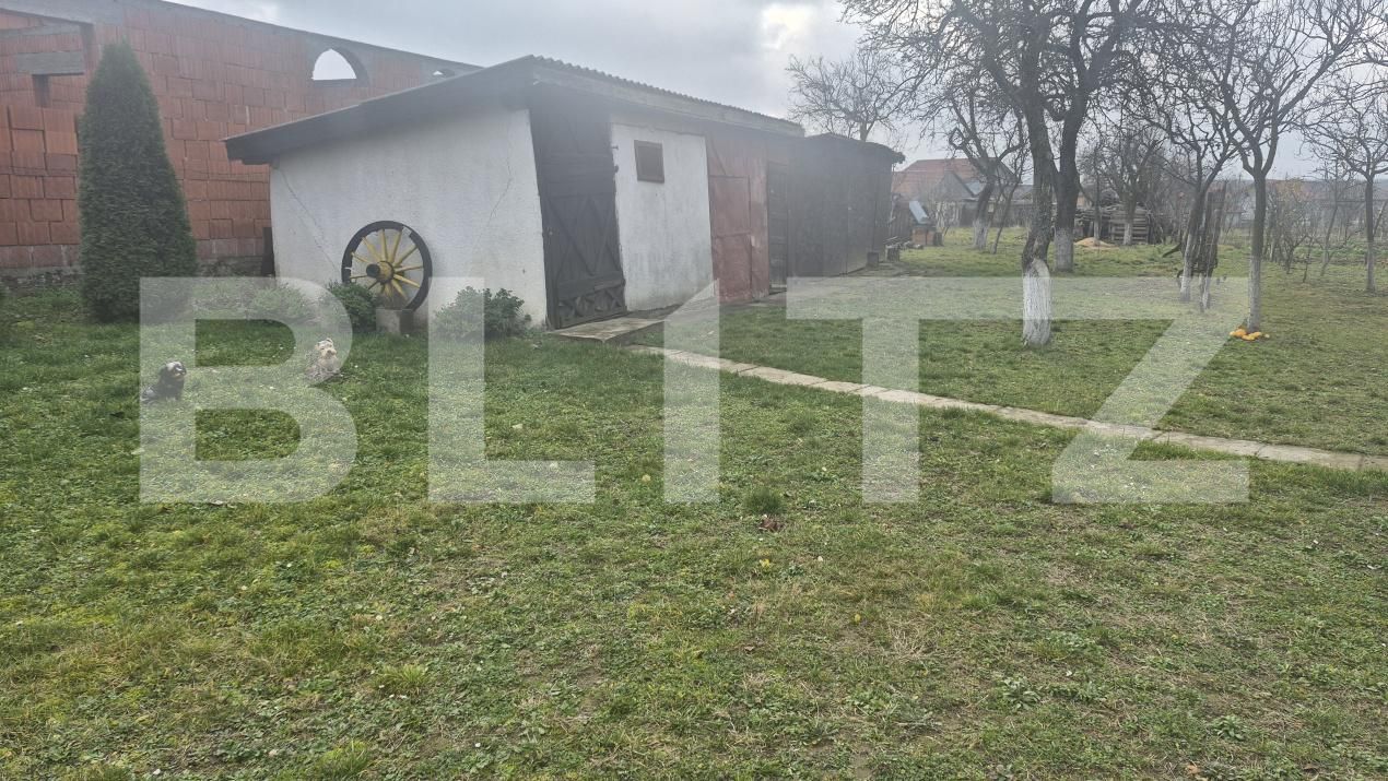 Casa de vânzare 2 camere Viile Satu Mare - 183806CV | BLITZ Satu Mare | Poza23