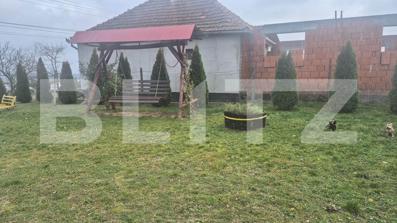 Casa de vânzare 2 camere Viile Satu Mare - 183806CV | BLITZ Satu Mare | Poza20