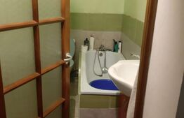 Casă 2 dormitoare, 99 mp, teren 7,5 ari în Lazuri, Satu Mare