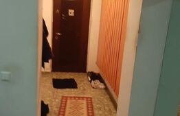 Casă 2 dormitoare, 99 mp, teren 7,5 ari în Lazuri, Satu Mare