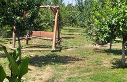 Casă 2 dormitoare, 99 mp, teren 7,5 ari în Lazuri, Satu Mare