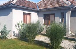 De vânzare  casă 99 mp, teren 7,5 ari în Lazuri, Satu Mare