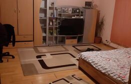 Casă 2 dormitoare, 99 mp, teren 7,5 ari în Lazuri, Satu Mare