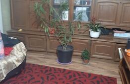 De vânzare  casă 99 mp, teren 7,5 ari în Lazuri, Satu Mare