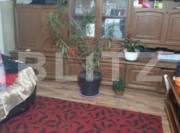 Casa de vânzare 3 camere Lazuri - 183827CV | BLITZ Satu Mare | Poza7