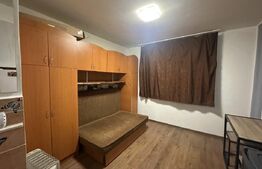 Garsoniera de vânzare, 14.45 mp, zona Careiului 