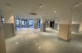 Spațiu comercial, 476 mp, zona Ultracentrală