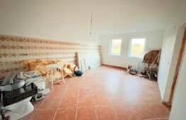 Casă de vânzare  534 mp,  teren 16.351 mp, Viile Satu Mare