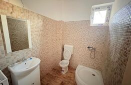 Casă de vânzare  534 mp,  teren 16.351 mp, Viile Satu Mare