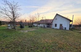 Casă de vânzare  534 mp,  teren 16.351 mp, Viile Satu Mare