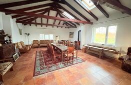 Casă de vânzare  534 mp,  teren 16.351 mp, Viile Satu Mare