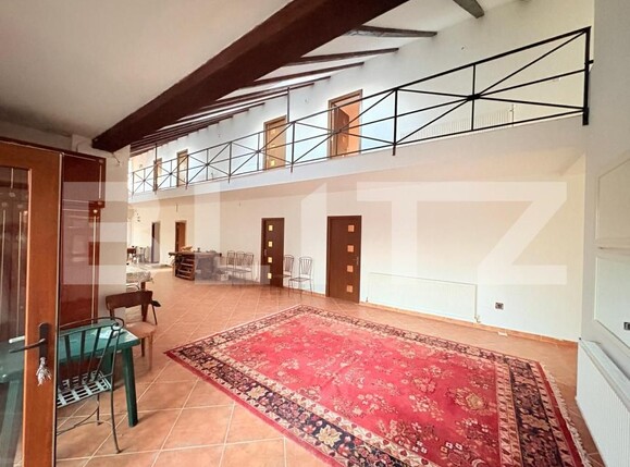 Casa de vânzare 9 camere Viile Satu Mare - 184060CV | BLITZ Satu Mare | Poza2