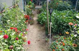 Casă 4 camere, 146 mp, zona 14 Mai