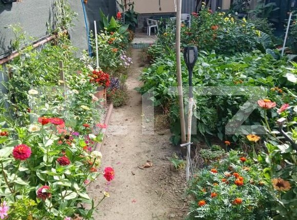 Casa de vânzare 4 camere 14 Mai - 184191CV | BLITZ Satu Mare | Poza16