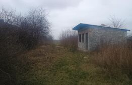 Casa de vanzare, 75 mp, localitatea Pelisor 