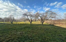 Teren de vanzare, 2366 mp - zona Bercu Rosu