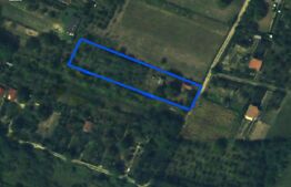 Teren de vânzare Vetiş - 154702TV | BLITZ Satu Mare | Poza1