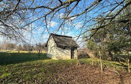 Teren de vanzare, 2366 mp - zona Bercu Rosu