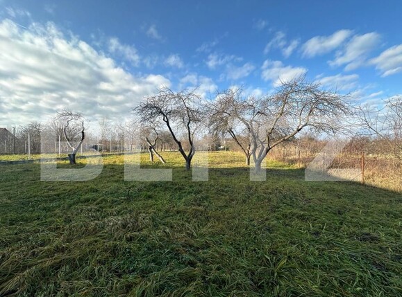 Teren de vânzare Bercu Rosu - 184566TV | BLITZ Satu Mare | Poza2