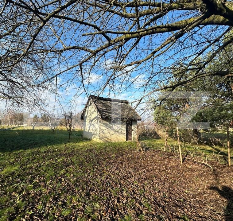 Teren de vânzare Bercu Rosu - 184566TV | BLITZ Satu Mare | Poza3