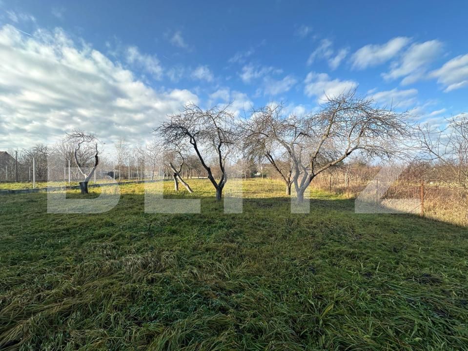 Teren de vânzare Bercu Rosu - 184566TV | BLITZ Satu Mare | Poza2