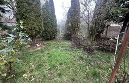 Casă zona Bercu Rosu - ideala pentru investiție