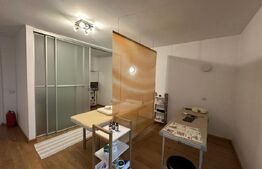 Casa 4 dormitoare, 282 mp - zona Lucian Blaga