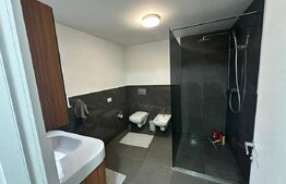 Casa 4 dormitoare, 282 mp - zona Lucian Blaga