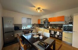 Casa 4 dormitoare, 282 mp - zona Lucian Blaga